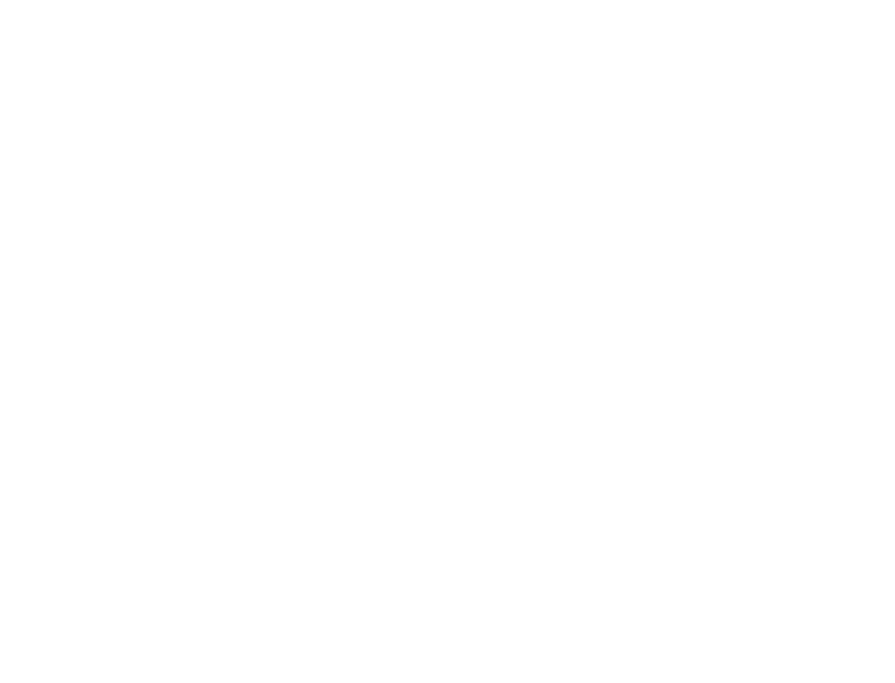 VENMIR de Venezuela