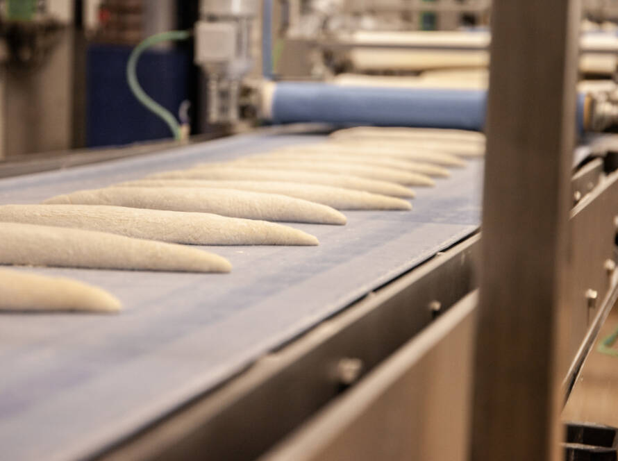 Cómo seleccionar transportadores según el tipo de alimento