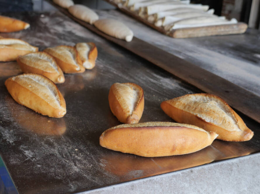 ¿Cuáles son los sistemas transportadores para panadería y confitería?